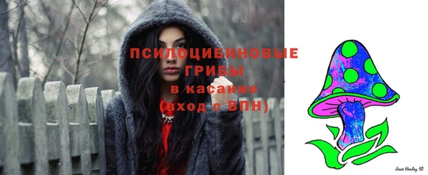 экстази Корсаков