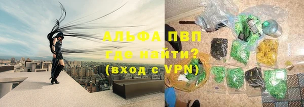 стаф Лабытнанги