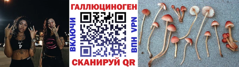 Галлюциногенные грибы прущие грибы  Старый Крым 